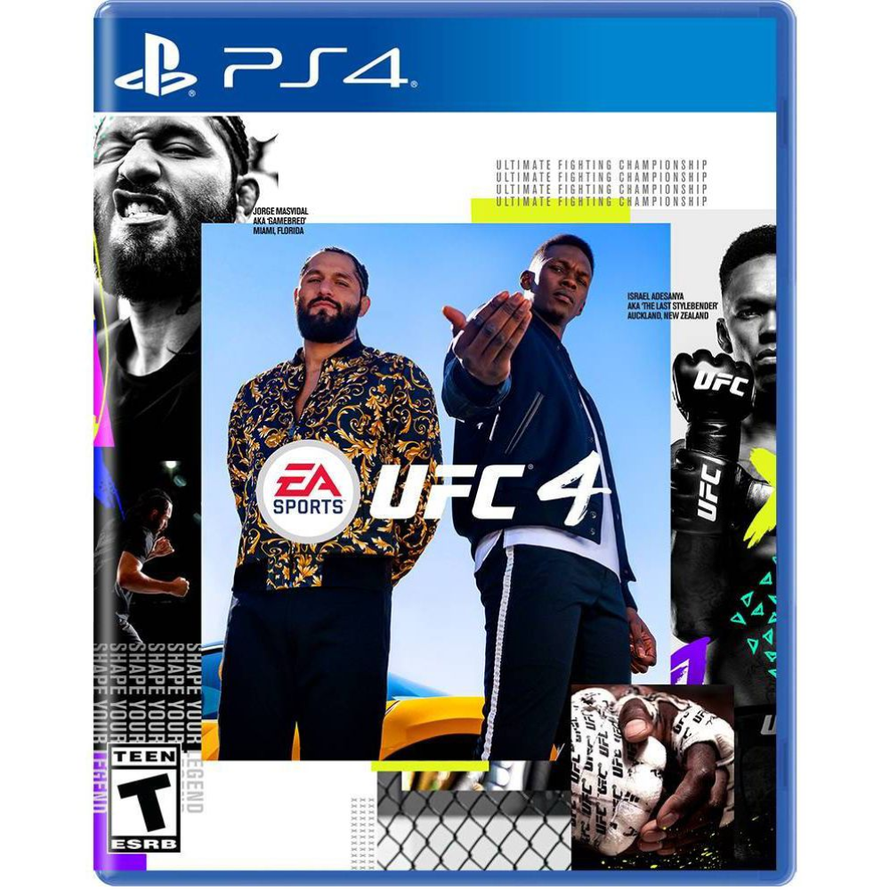 UFC 4 PS4 Physical